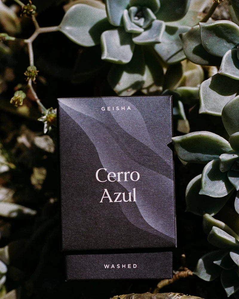 Cerro Azul Washed - La Cabra